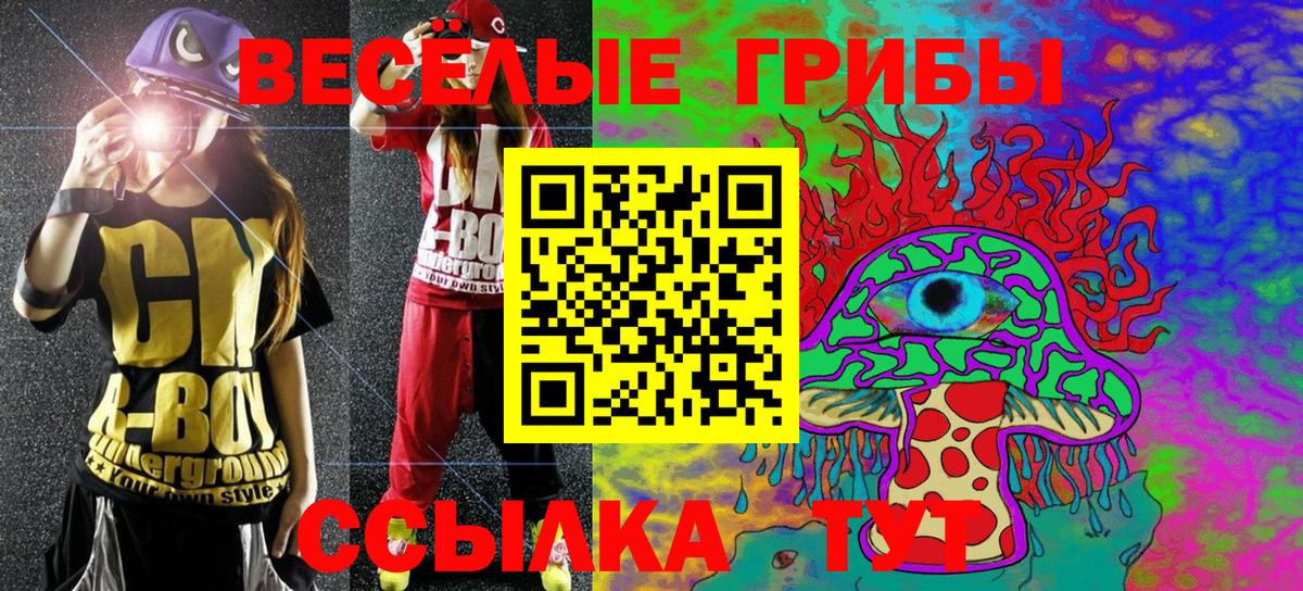 Псилоцибиновые грибы Psilocybine cubensis Кушва